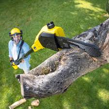 Best Lawn Pest Prevention  in Uvalde, TX